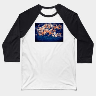 Roses Flowers in Summer Garden Baseball T-Shirt